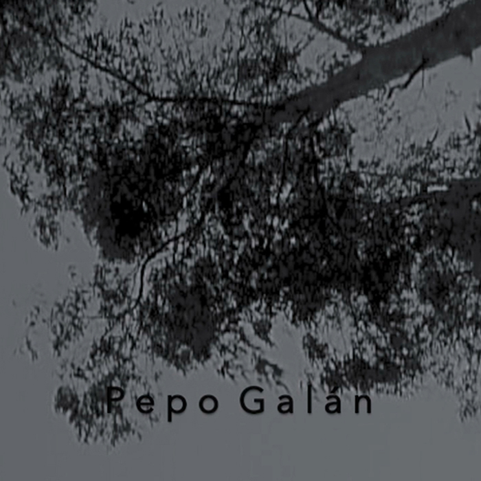 imagen 49. pepo galan